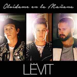 Levit - Olvidame en la Mañana.jpeg